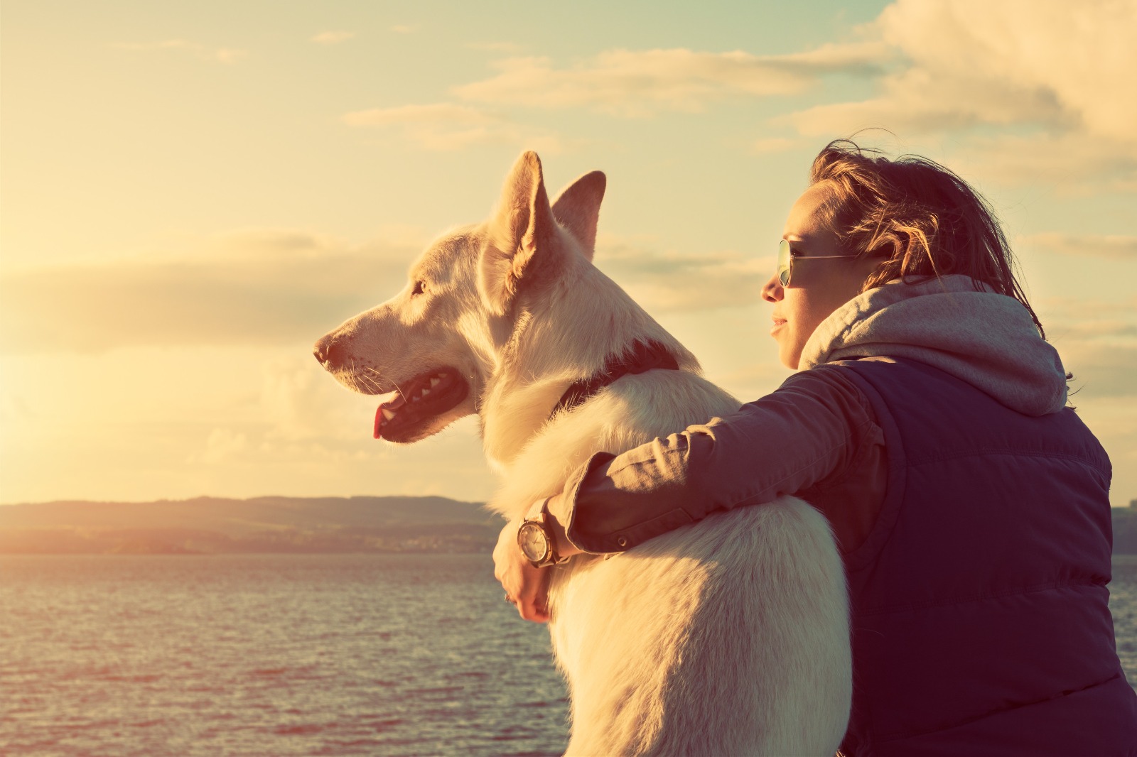 VetPlus: pioneros y referentes de la medicina prepagada para mascotas en Colombia