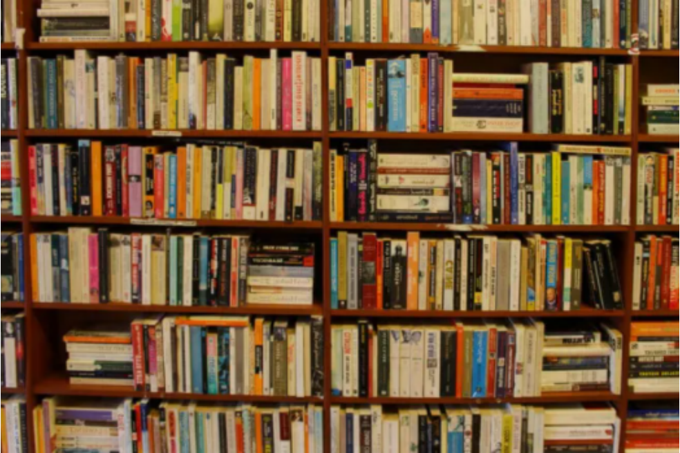 "BuscaLibre no es una librería, como tampoco lo es una disquera, un almacén o una compañía logística, sino una entidad depredadora, cuyo propósito no es el placer, o las posibilidades de la lectura, sino la captura de un sector económico".