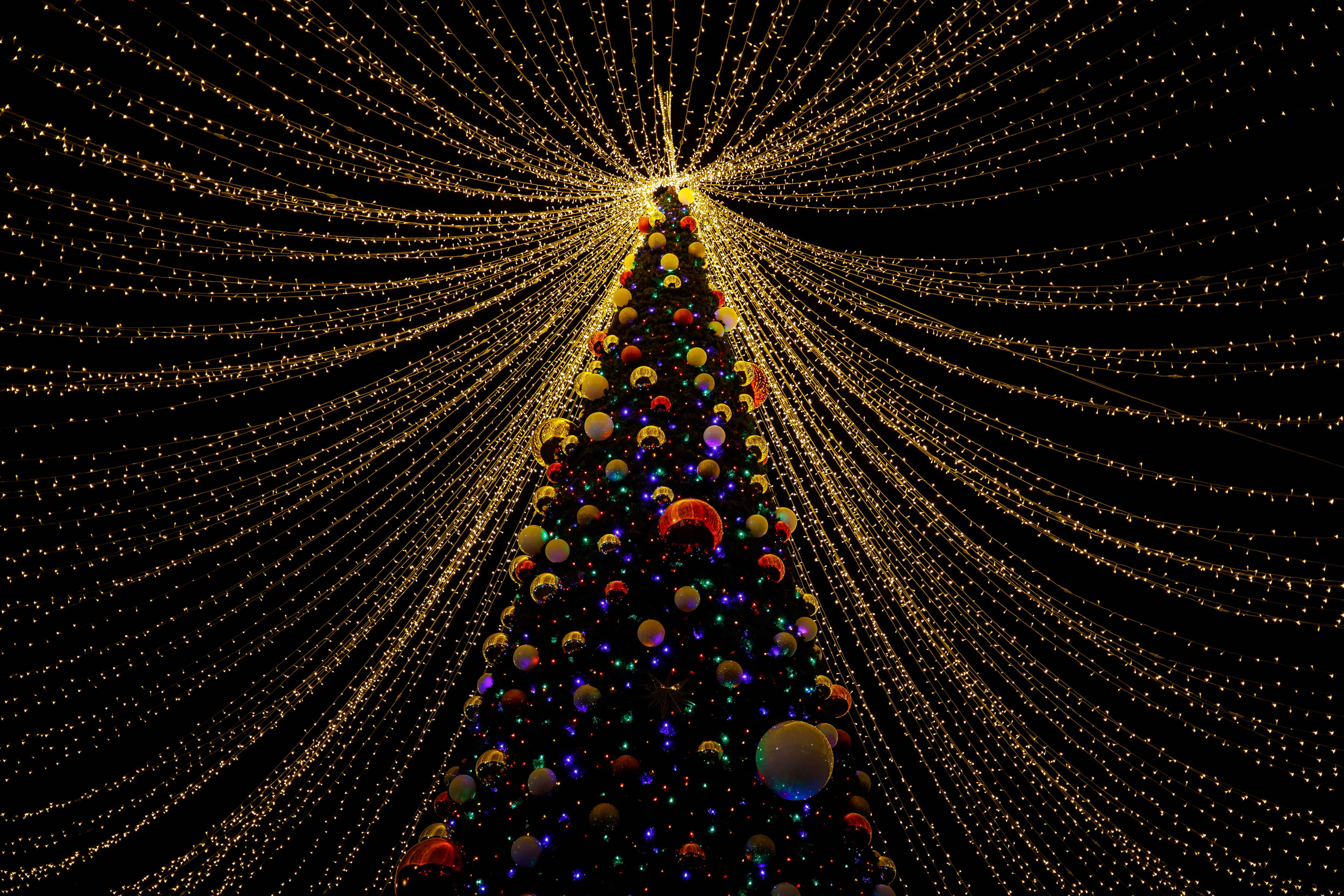 ¿Cómo hacer un árbol de Navidad casero y grande? Te damos estos tips