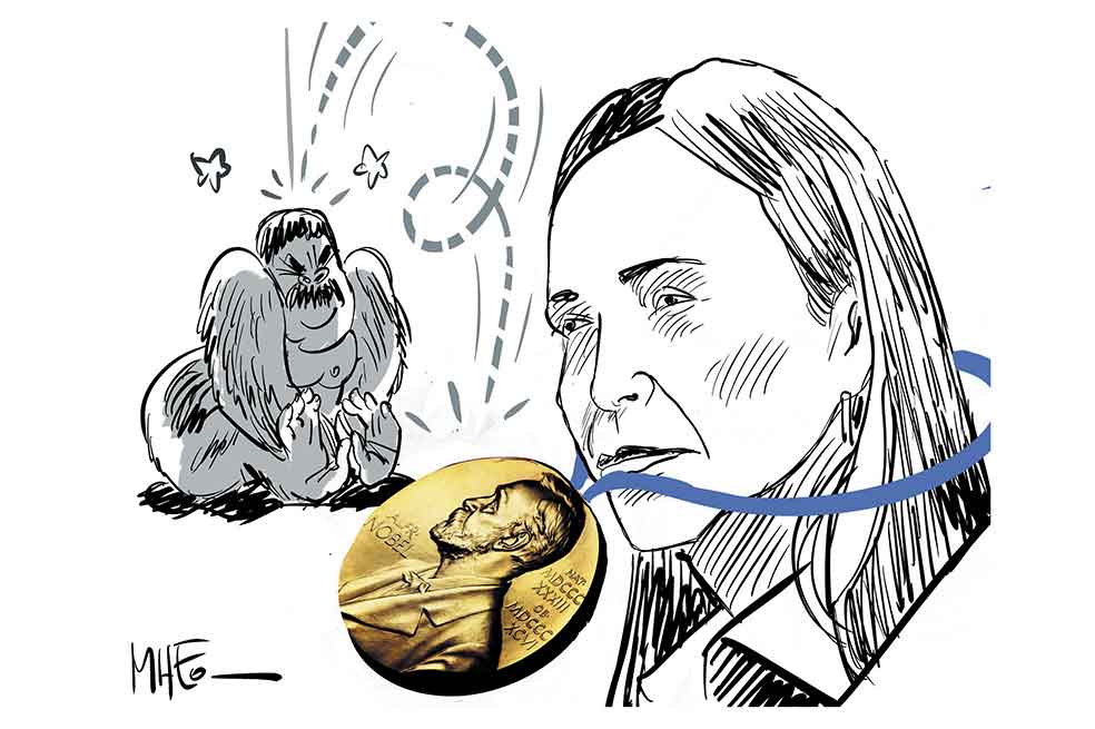 Alto turmequé: de encuentros, palomas, violines y algodones