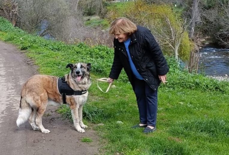 Pareja de jubilados adopta a la perrita más vieja del refugio: “tenía una mirada suplicante”