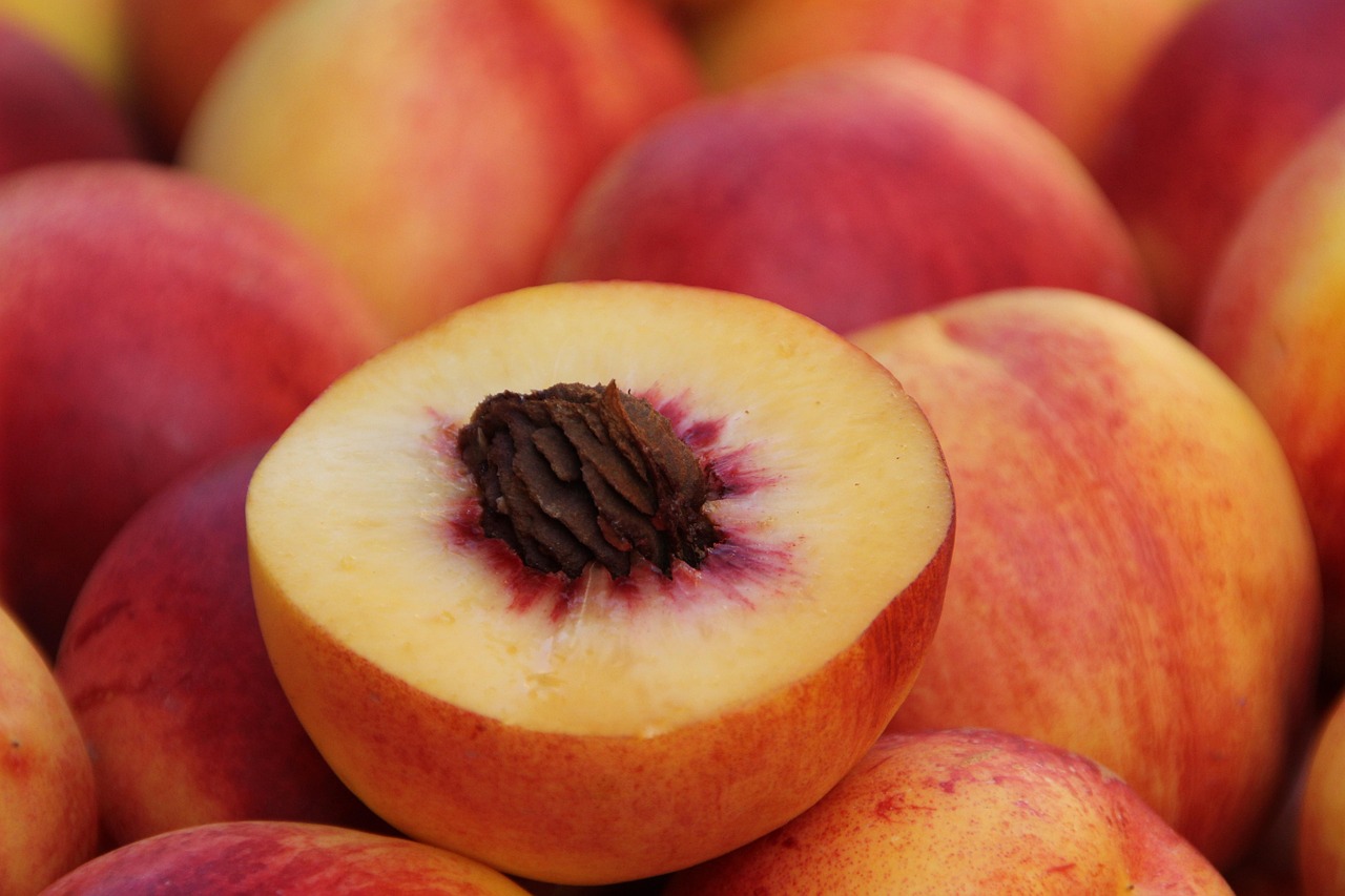 Las frutas de hueso, como las ciruelas, cerezas y durazno, se caracterizan por tener una semilla grande en su interior y han sido cultivadas desde hace miles de años gracias a su sabor, valor nutricional y capacidad de adaptación.