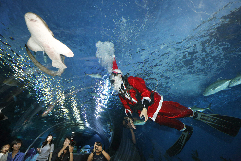 Así se vive la navidad bajo el agua