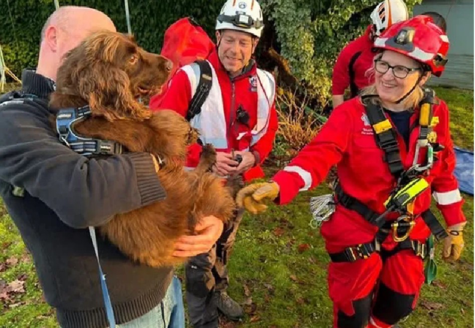 Perrito cayó por un acantilado: así fue la operación de emergencia para rescatarlo