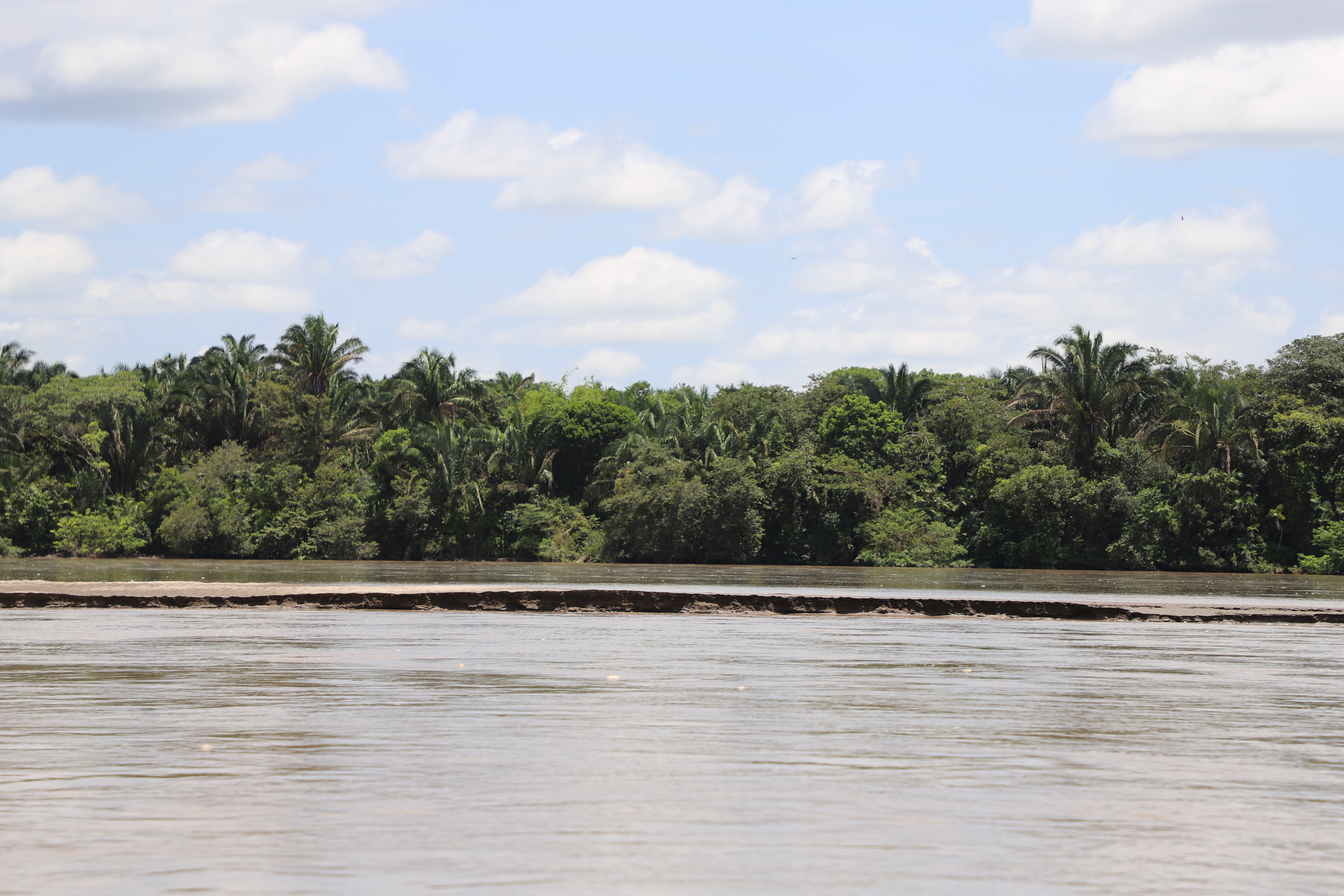 La cuenca del Río Cravo Sur es una de las que más presencia de cultivos registra, se calcula que podría perder hasta el 38% de su oferta hídrica./ Foto Cristhian Aguirre H, TNC Colombia