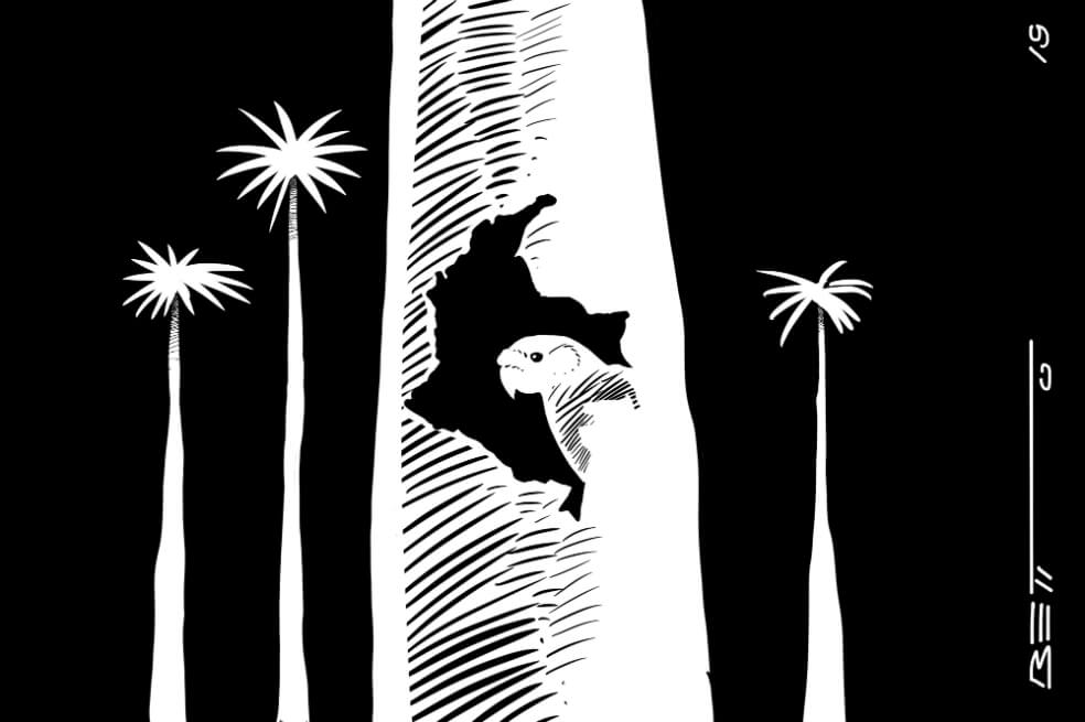 Conservación del suelo
