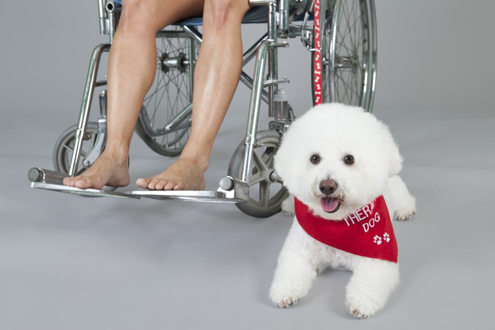 / Istock