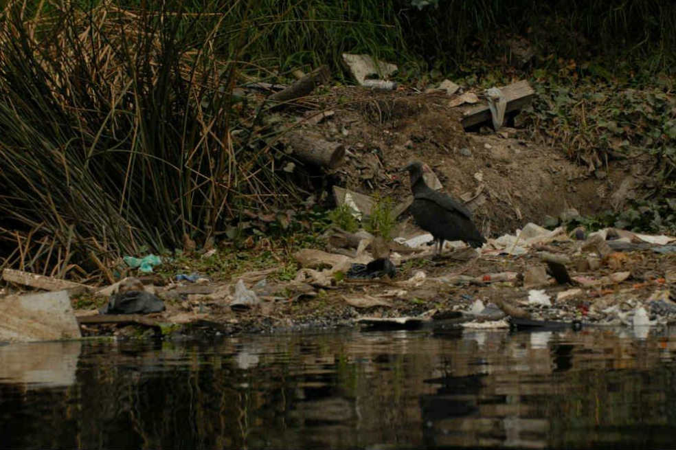 Tratamiento de aguas residuales de 23 municipios, en el limbo