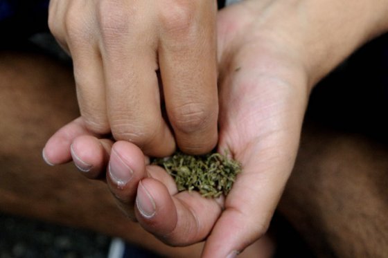Aprehenden a estudiantes en Bucaramanga por vender brownies con marihuana