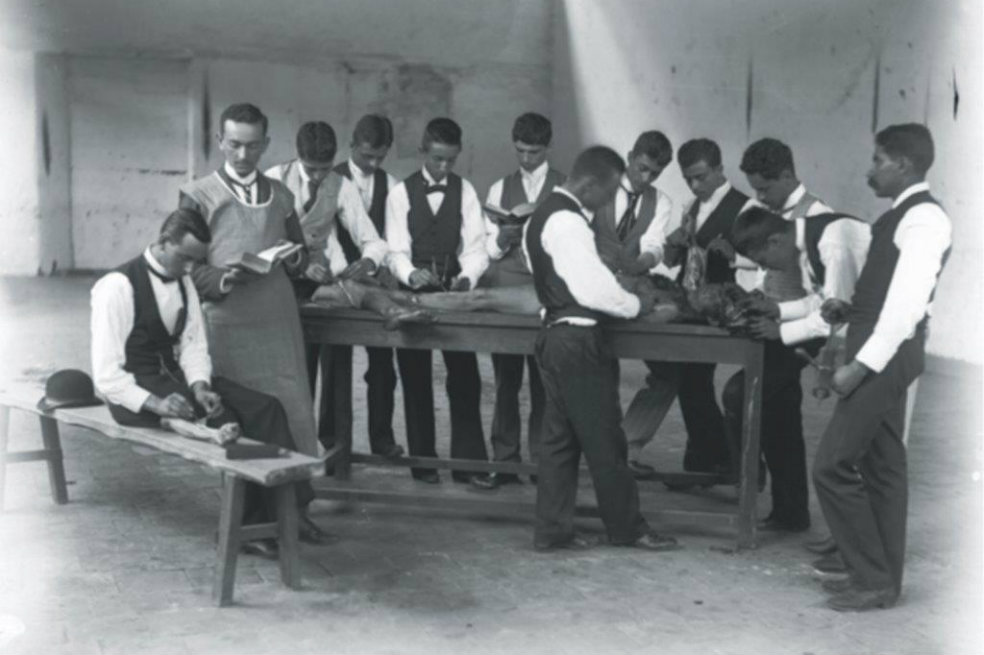 Escarbando los secretos médicos