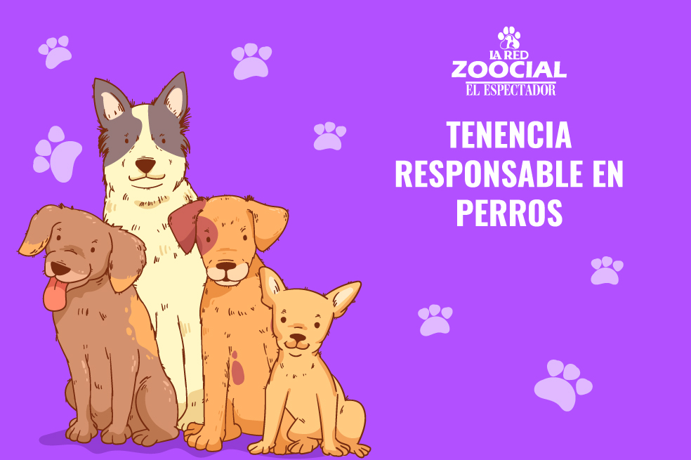 ¿Qué significa tener un perro en la familia? | Pódcast