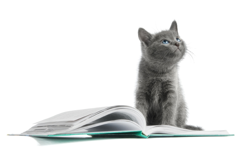 ¿A la universidad con la mascota?