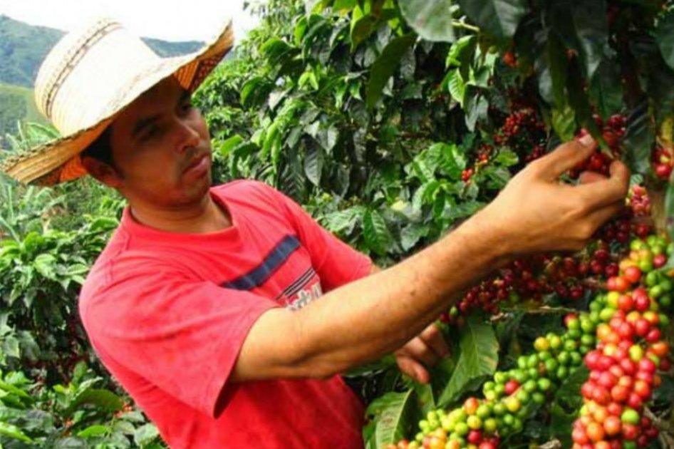 En Congreso cafetero extraordinario del lunes se buscará solución al paro
