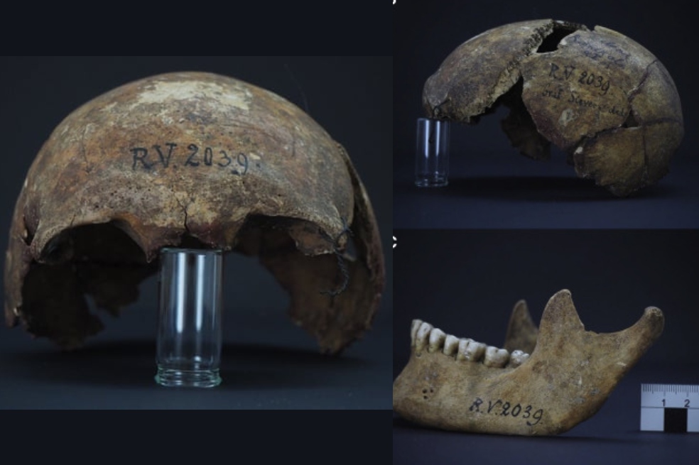 Un cazador de hace 5.000 años es la primera víctima mortal de la peste