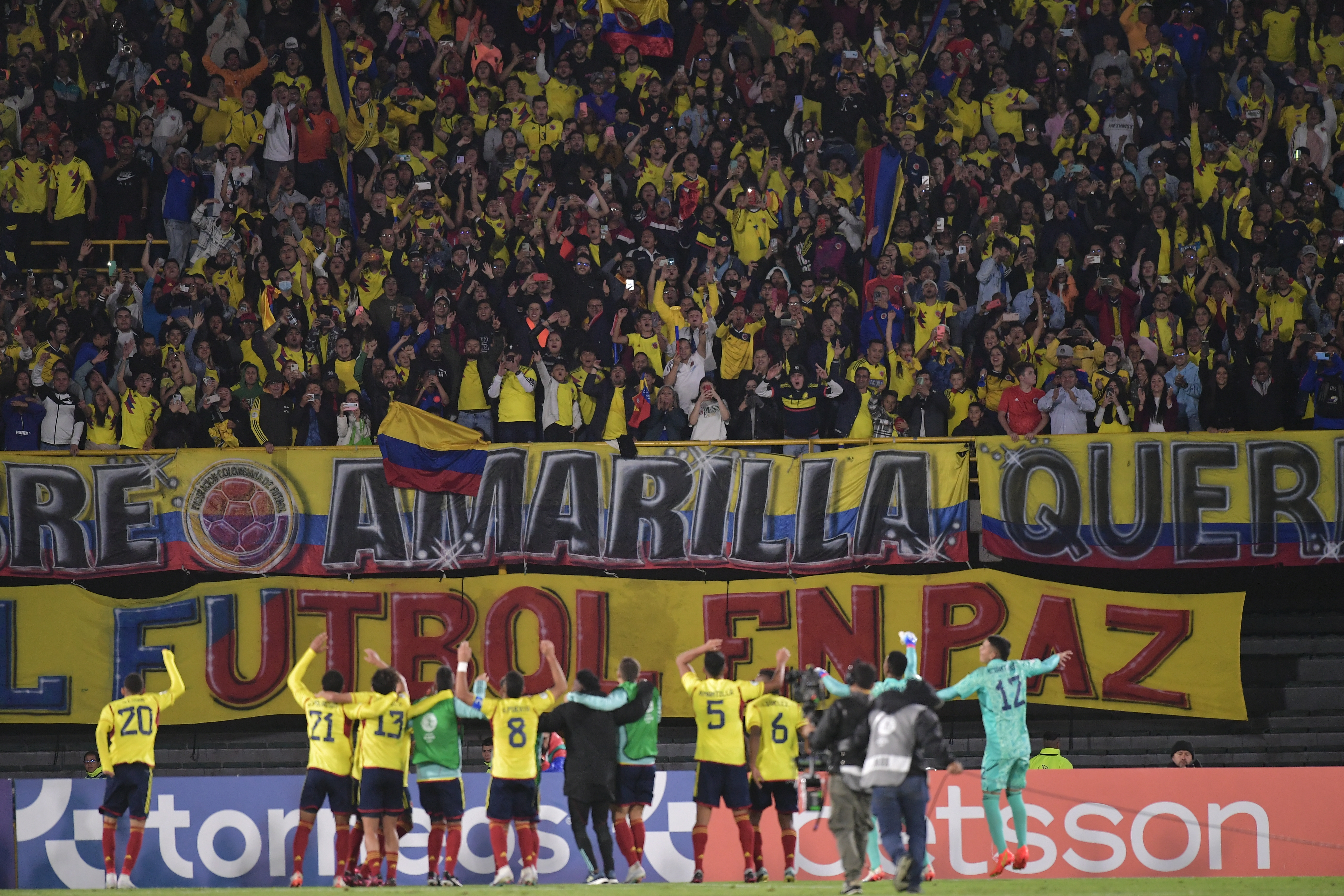 Semillas y cosechas: el recorrido de los jugadores de la selección sub-20 de Colombia