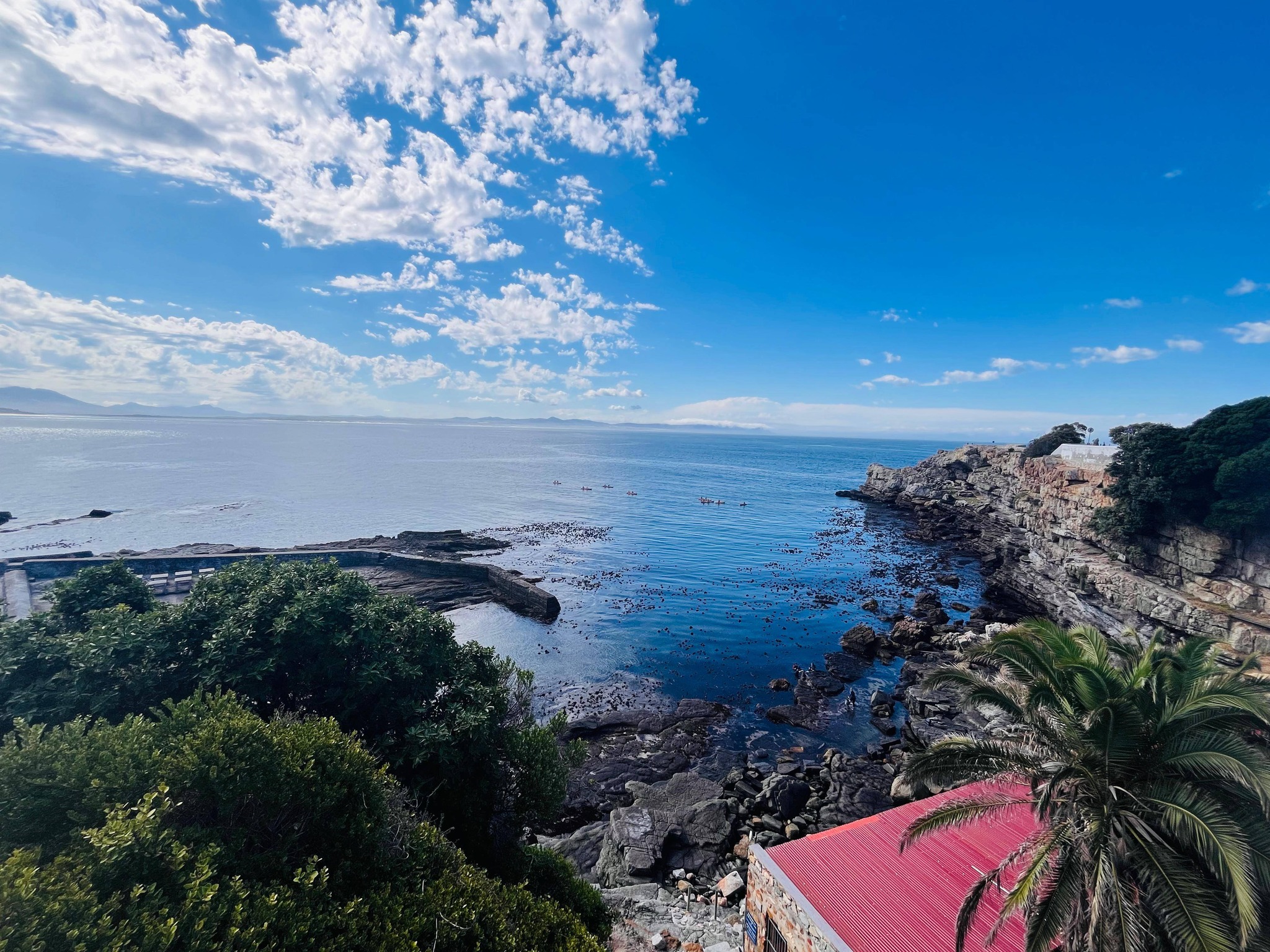 El pequeño pueblo costero de Hermanus, ubicado a poco más de una hora de Ciudad del Cabo, es considerado uno de los mejores lugares del mundo para el avistamiento de ballenas, especialmente entre julio y noviembre, cuando cientos de ballenas francas australes se acercan a sus costas para aparearse y dar a luz.