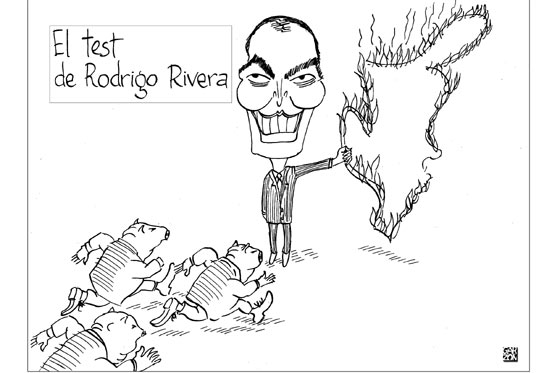 Cartones de Garzón