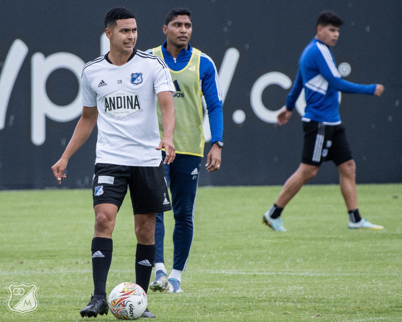 Millonarios confirmó el regreso de Stiven Vega y Luis Carlos Ruíz