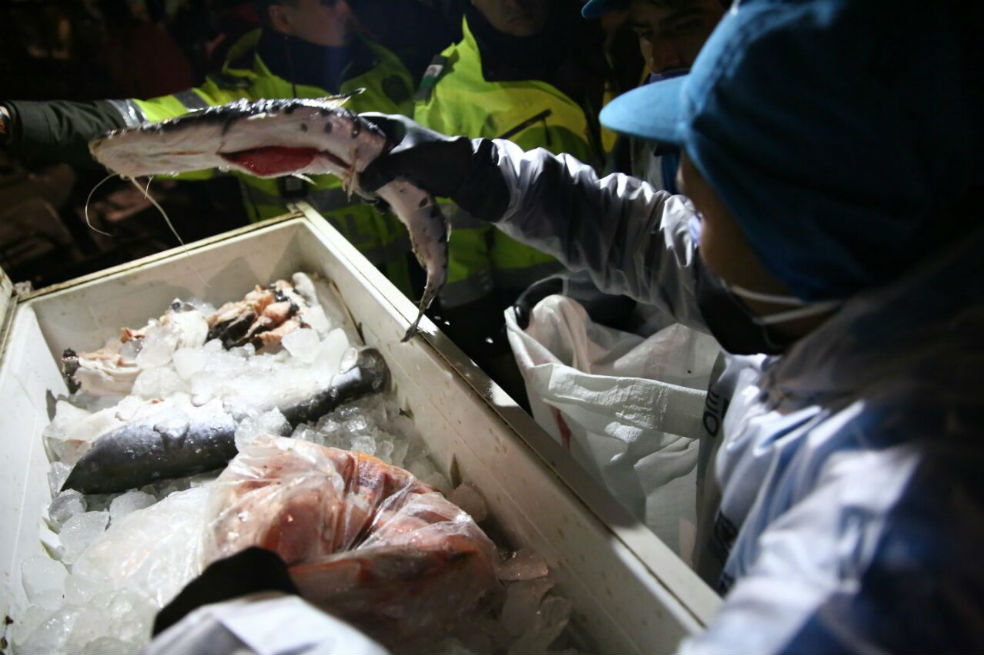 Decomisan tonelada y media de pescado en mal estado cerca de Corabastos