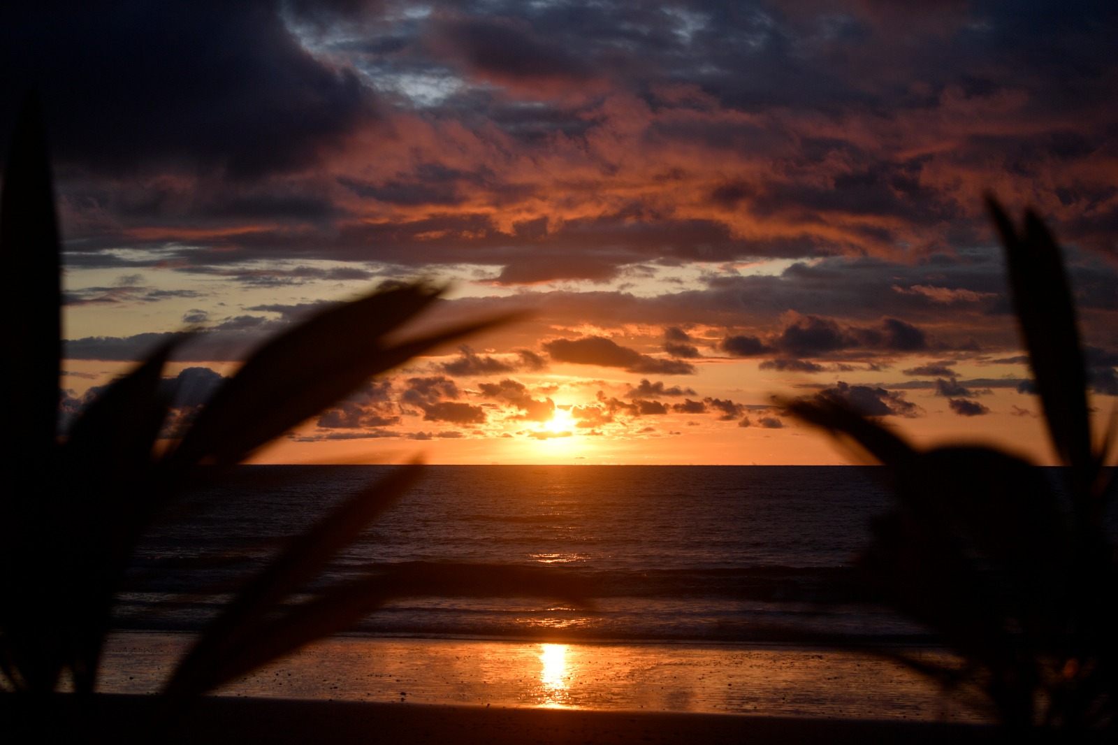 Los coloridos atardeceres de Nuquí enamoran hasta a los viajeros más exigentes. Este destino, ubicado en la costa Pacífica colombiana, ofrece un ambiente idóneo para desconectarse de la vida citadina y entregarse al descanso.