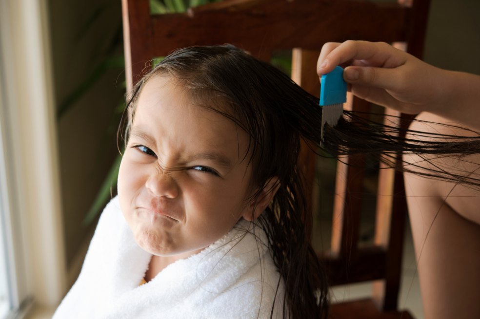 ¿Cómo eliminar y evitar los piojos en los niños?