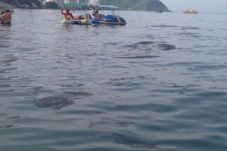 Abren playas del Rodadero, Santa Marta, tras confirmar que mancha negra no amenaza la salud