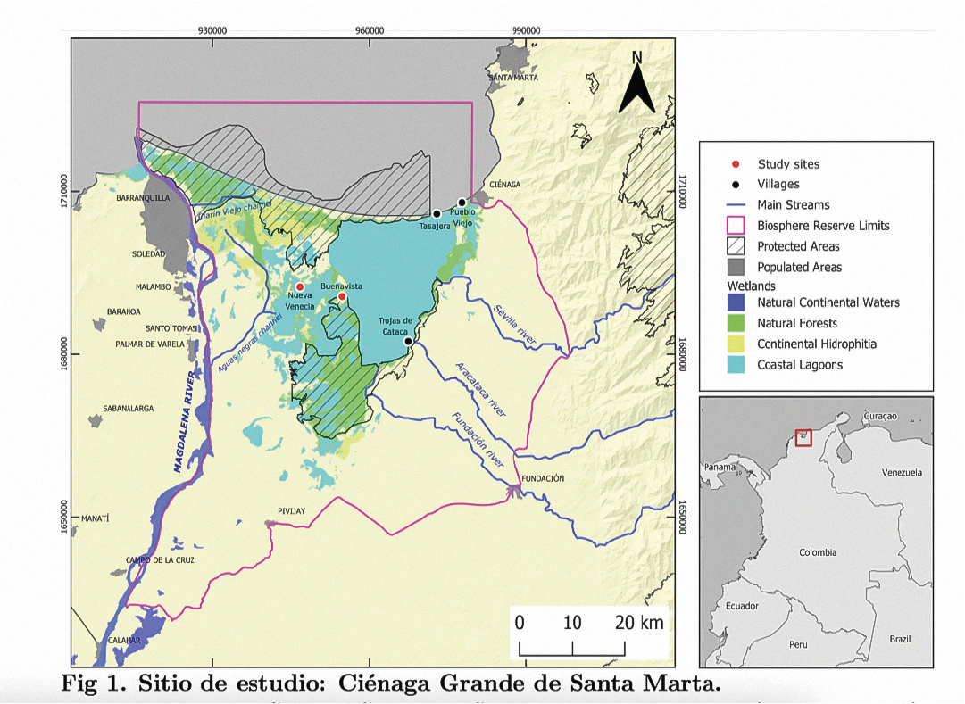 Mapa del sitio de estudio en la Ciénaga Grande de Santa Marta