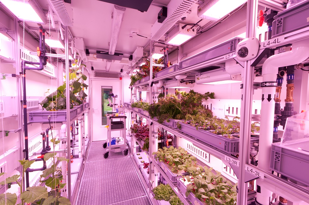 (IMAGEN REFERENCIA) El objetivo de cultivar alimentos en la estación, apuntó la Nasa, era practicar técnicas que podrían usarse durante las futuras misiones de exploración que tienen previstas realizar a la Luna y Marte. 