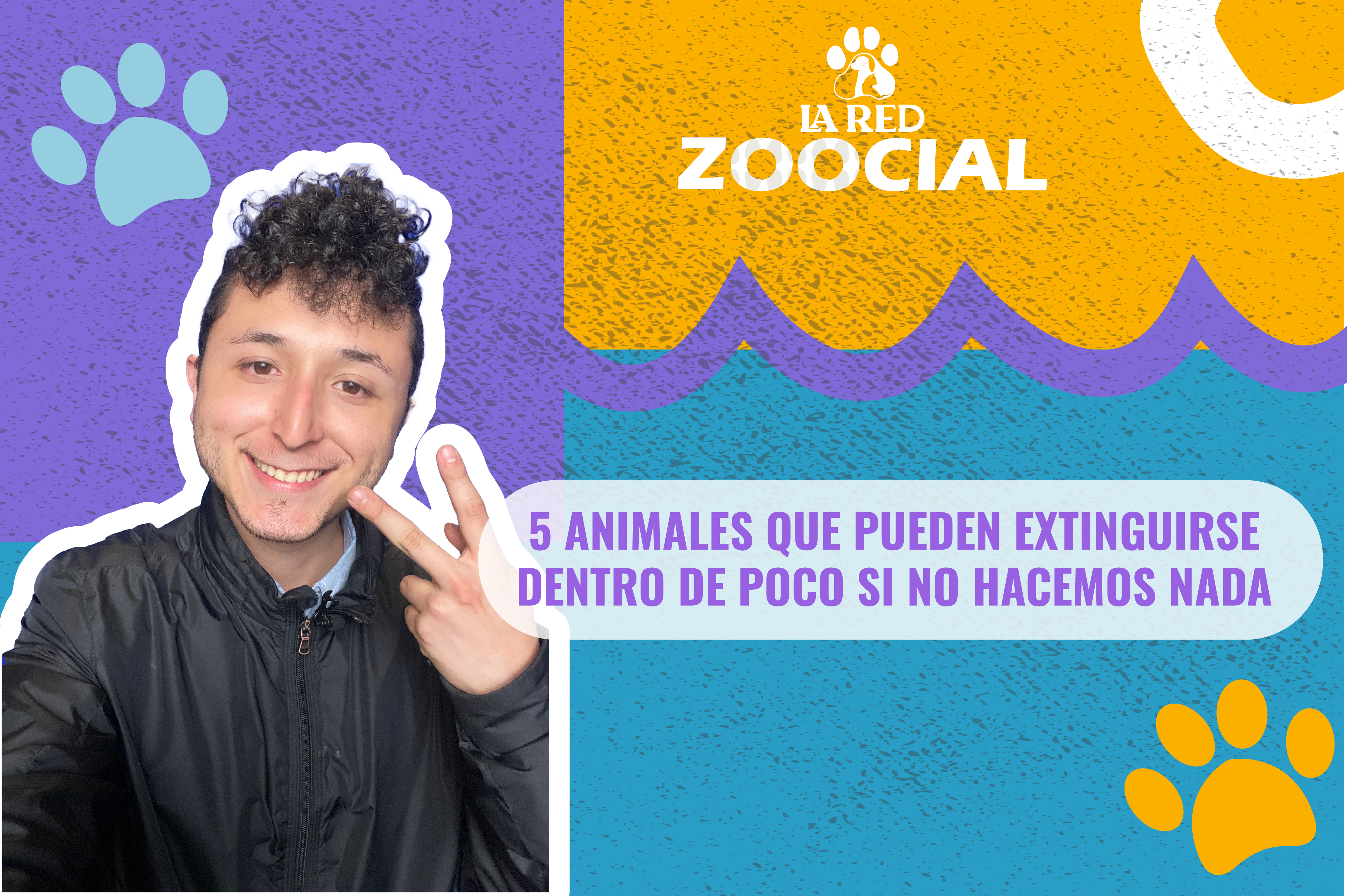 (VIDEO) Cinco animales que pueden extinguirse dentro de poco si no hacemos nada