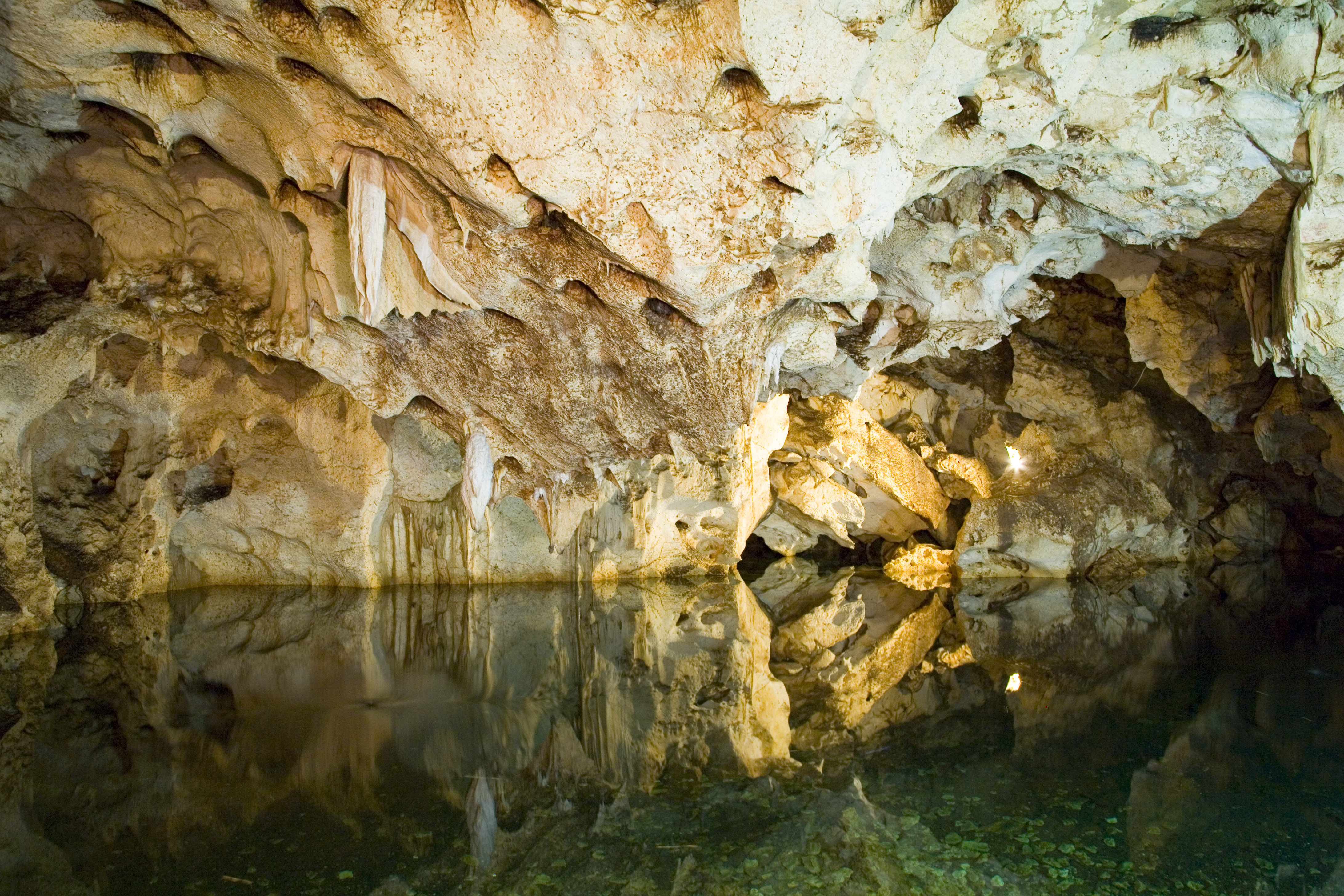 Green Grotto Caves.