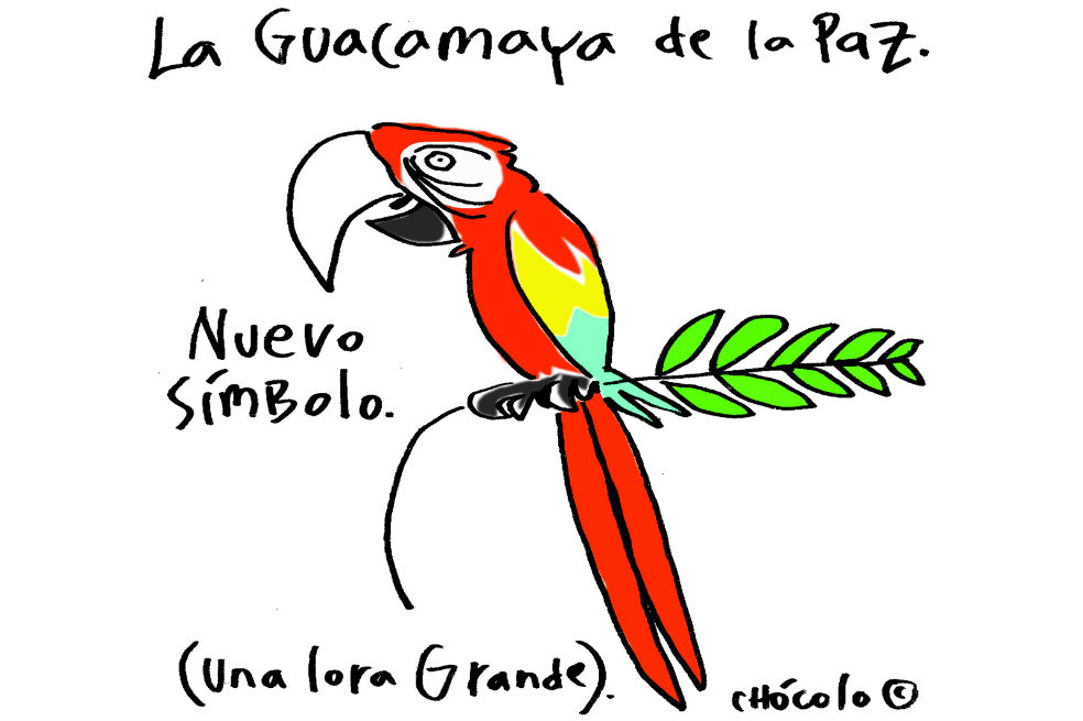 Chócolo