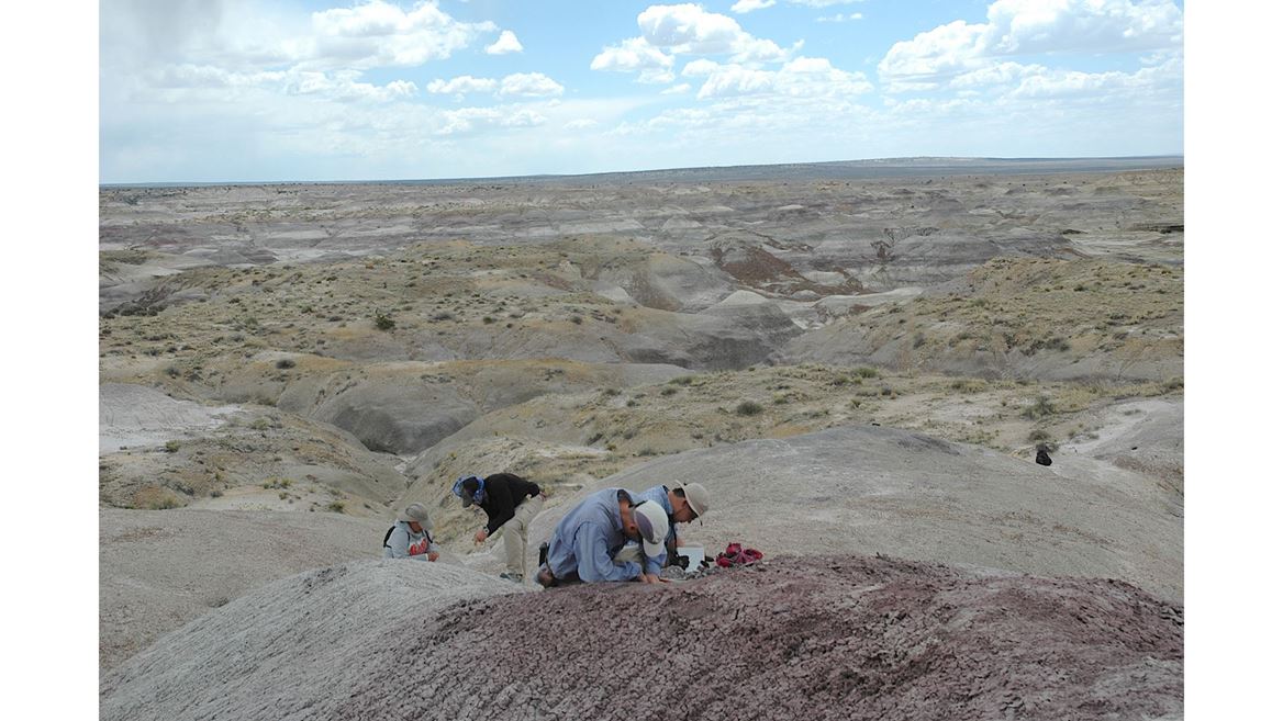 Nuevo estudio revela que los dinosaurios no estaban en declive antes de la extinción masiva