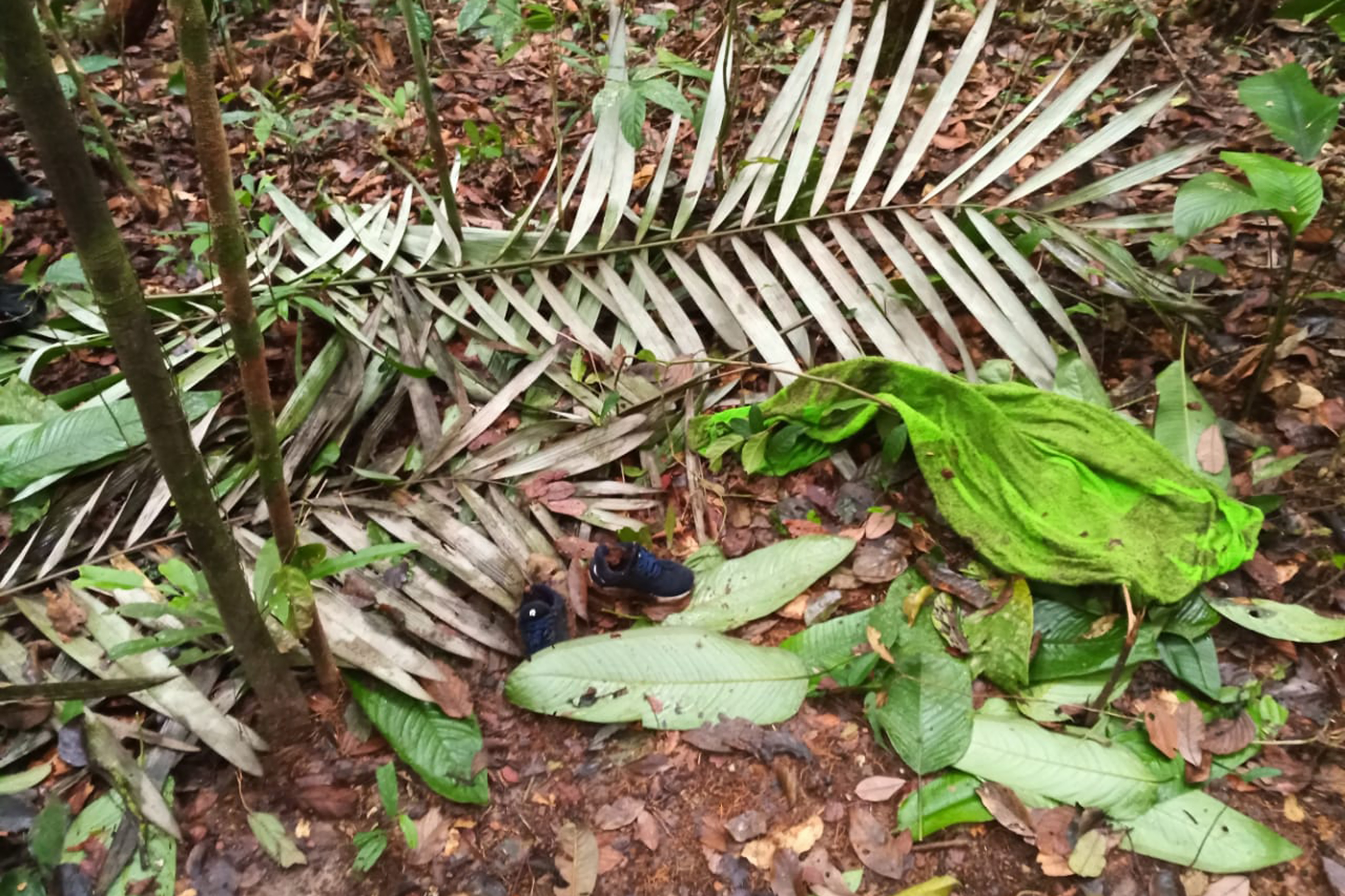 AME1119. GUAVIARE (COLOMBIA), 24/05/2023.- Fotografía cedida por las Fuerzas Militares de Colombia en la que se ve una toalla y un par de zapatos encontrados en la selva donde ocurrió el siniestro aéreo del Cessna 206, y que pertenecerían a los niños que viajaban en la aeronave que cayó en medio de la selva el pasado 1 de mayo de 2023, hoy en el Guaviare (Colombia). Militares colombianos y los indígenas que participan en la búsqueda de los cuatro menores que viajaban en el avión accidentado el pasado 1 de mayo en la selva amazónica hallaron nuevos indicios de que los niños desaparecidos pueden haber sobrevivido. EFE/ Fuerzas Militares De Colombia / SOLO USO EDITORIAL/ SOLO DISPONIBLE PARA ILUSTRAR LA NOTICIA QUE ACOMPAÑA (CRÉDITO OBLIGATORIO) MÁXIMA CALIDAD DISPONIBLE