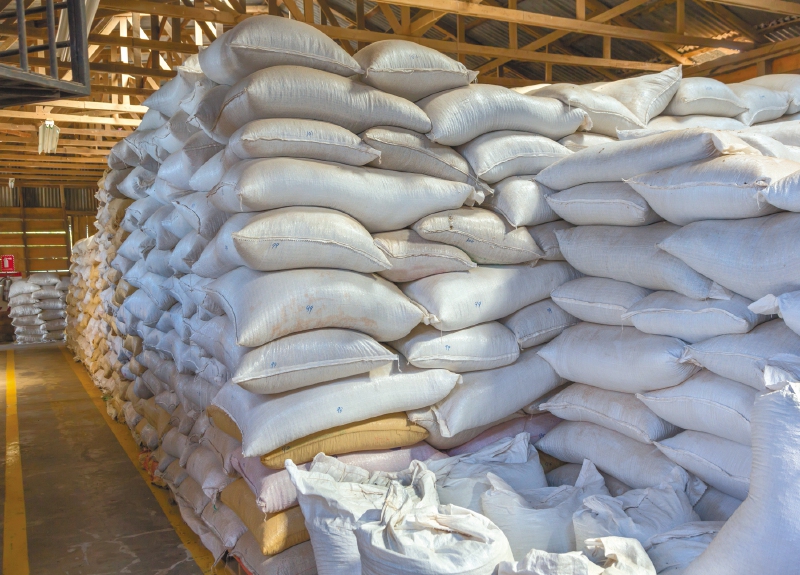 Así es el régimen de libertad vigilada para el arroz que propone el Gobierno