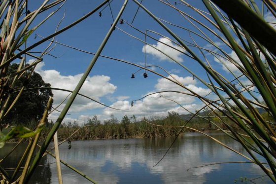 Fenómeno de El Niño tiene en alerta a seis humedales de Bogotá