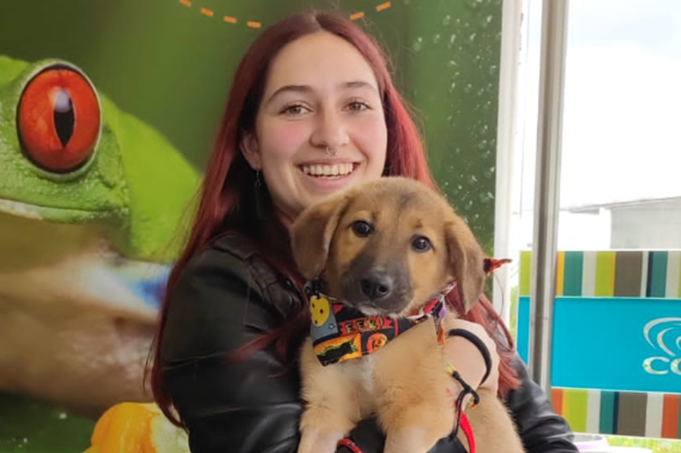 ¡Prográmese! Distrito inicia temporada de jornadas de adopción en Bogotá