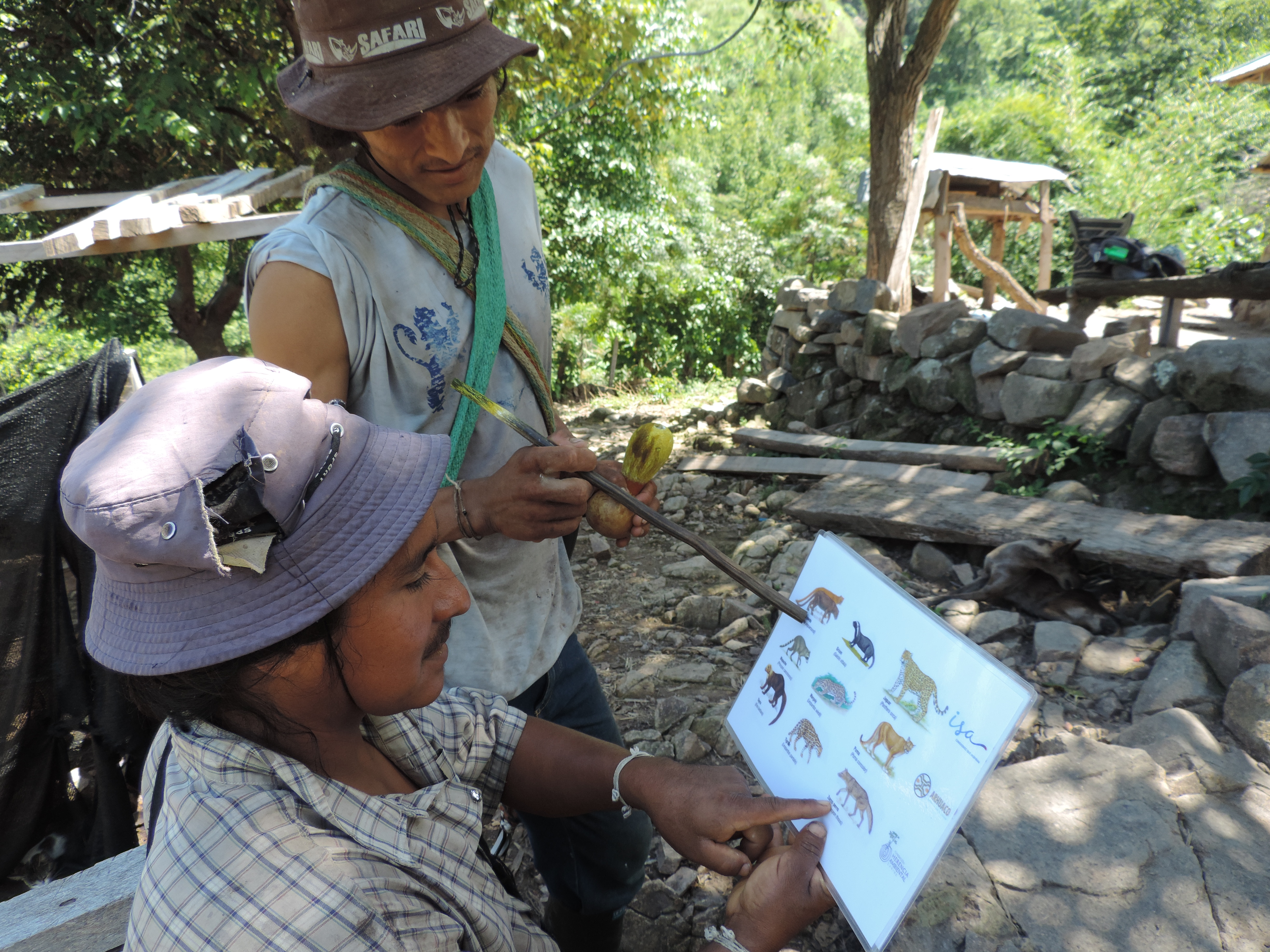 Plan Jaguar Arhuaco: una apuesta pionera para la protección de la Sierra Nevada