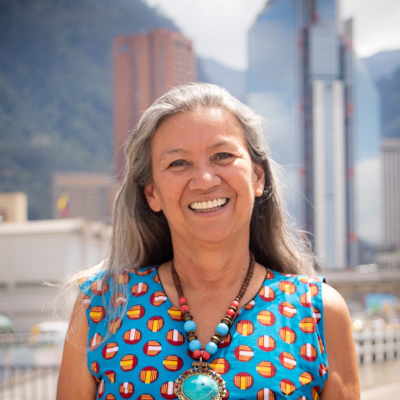 Viceministra de Ordenamiento Ambiental del Territorio del MADS