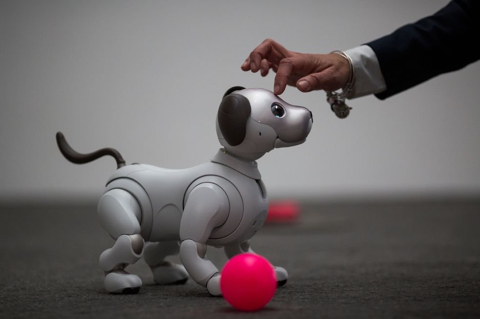 Qué prefiere, ¿mascota robot o de carne y hueso?