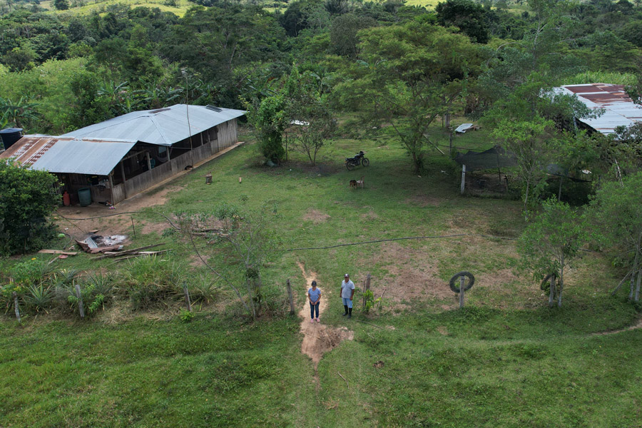 Las promesas para frenar la deforestación que no despegan en la Amazonia