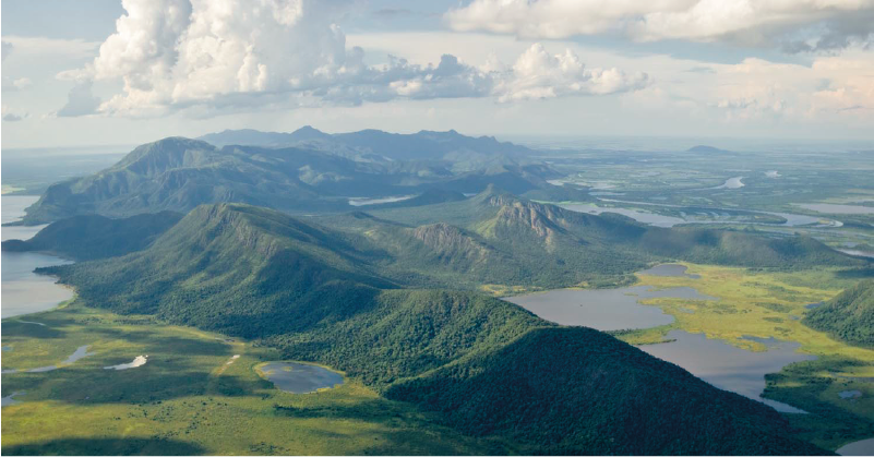 Conexión Jaguar apoya 9 proyectos forestales en Colombia, Chile, Perú y Brasil.