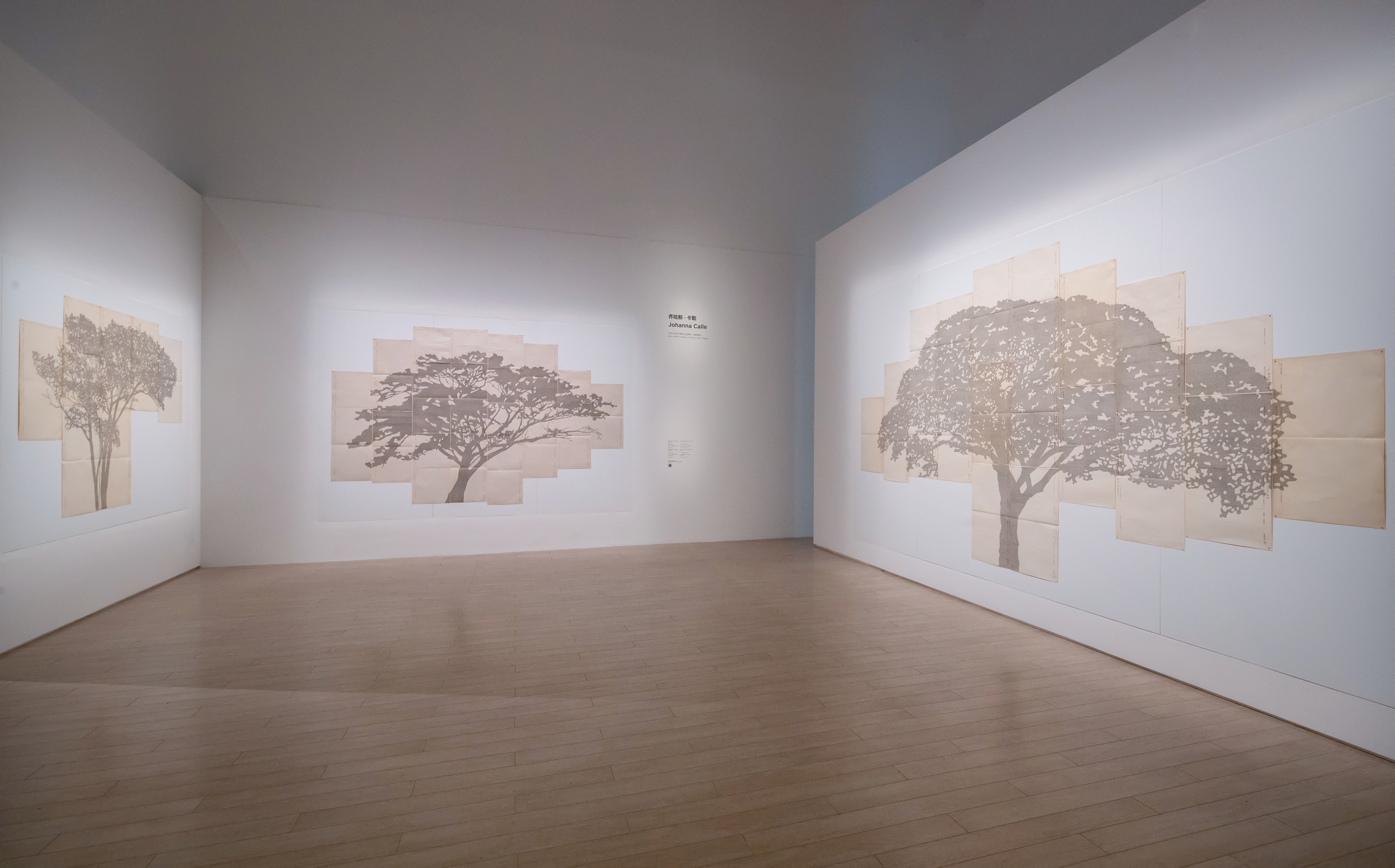 Vista de la exposición "Trees", Fundación Cartier para Arte Contemporáneo y PSA, Shanghai, 2021.