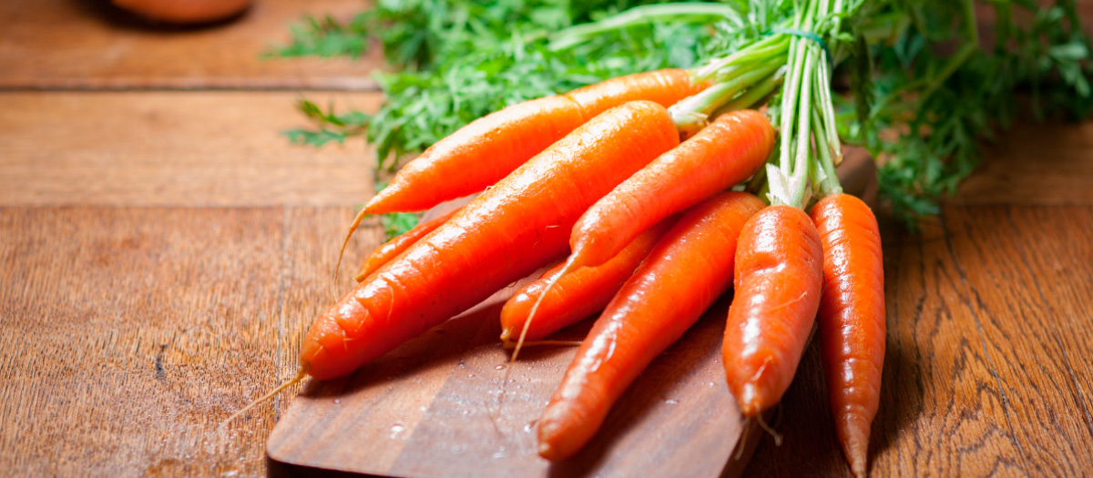 ¿Qué beneficios tiene comer zanahoria todos los días?