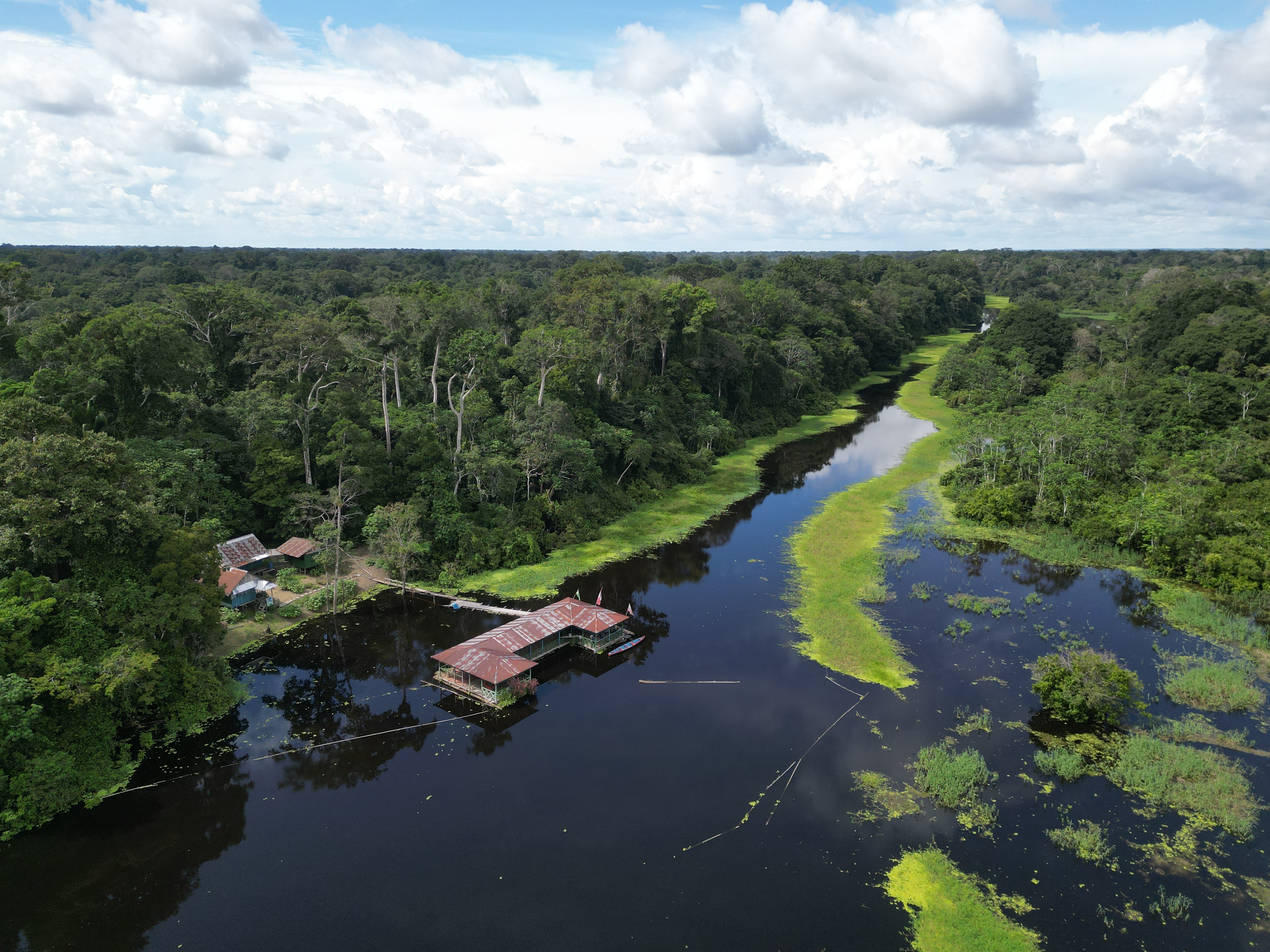 La Amazonía abarca partes de nueve países: Brasil (que contiene alrededor del 60 % del área total), Perú, Colombia, Venezuela, Ecuador, Bolivia, Guyana, Surinam y la Guayana Francesa.