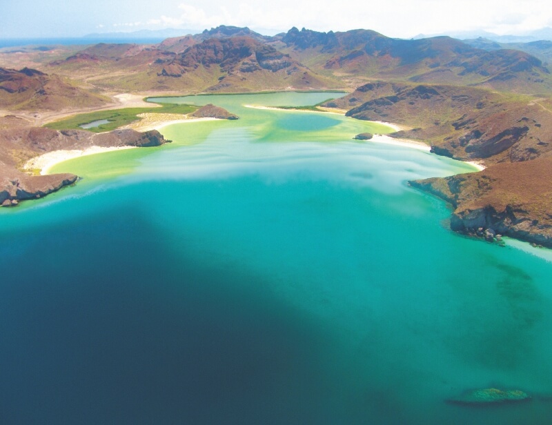 La Paz, el «acuario del mundo»