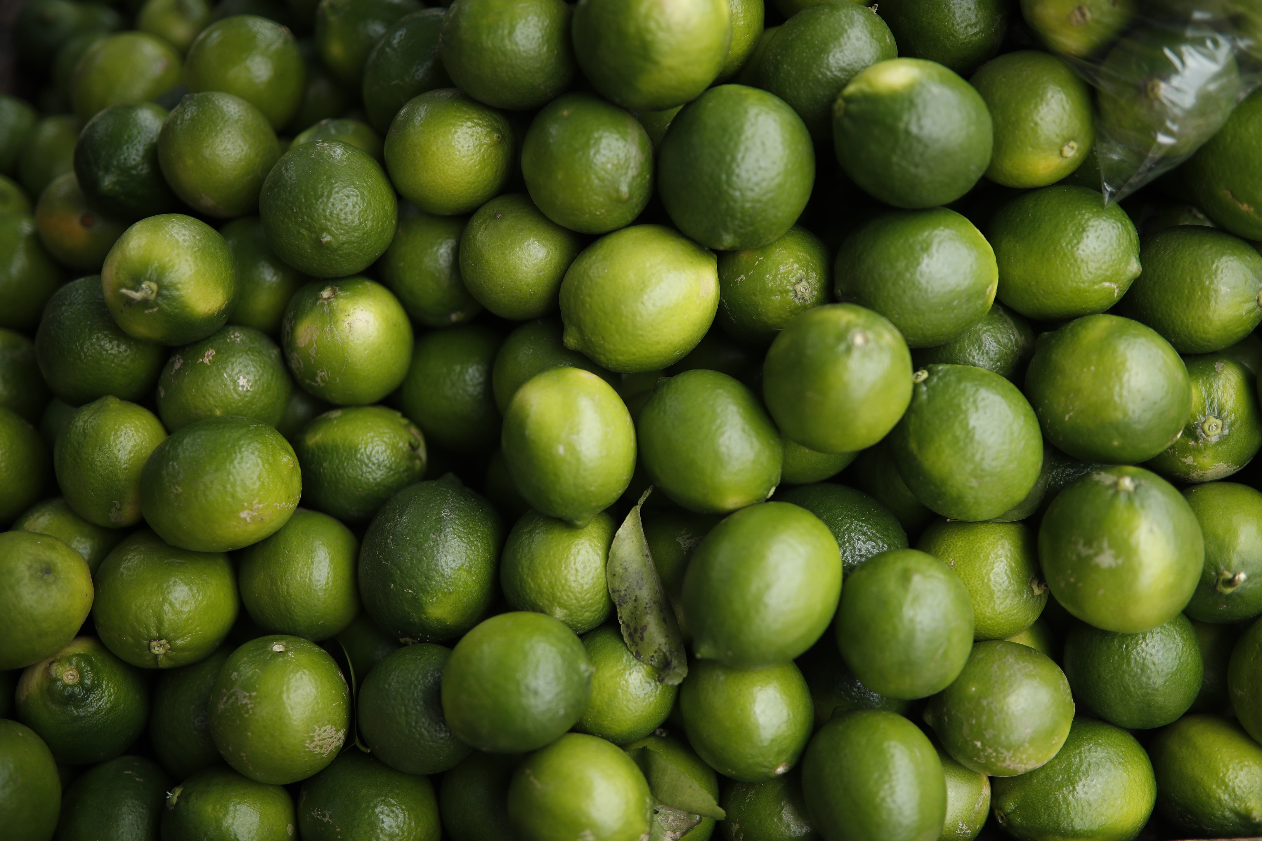 Limón Tahití exprime sus exportaciones y toma fuerza en el mundo