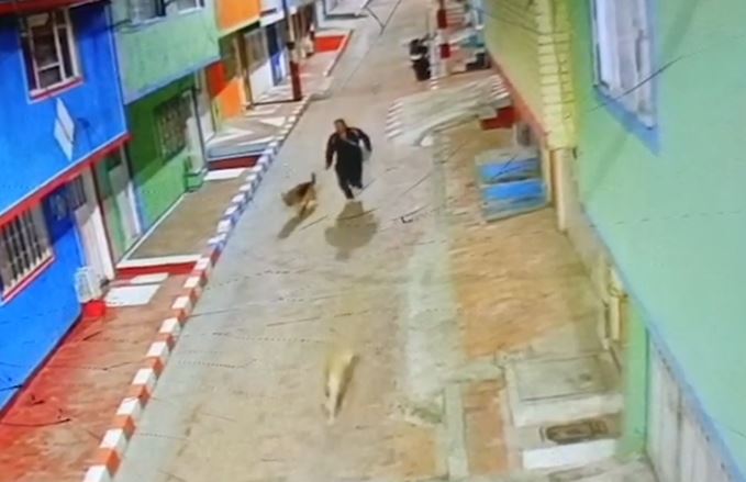 Abuso y robo de perros en Ciudad Bolívar reabre debate sobre zoofilia en Colombia