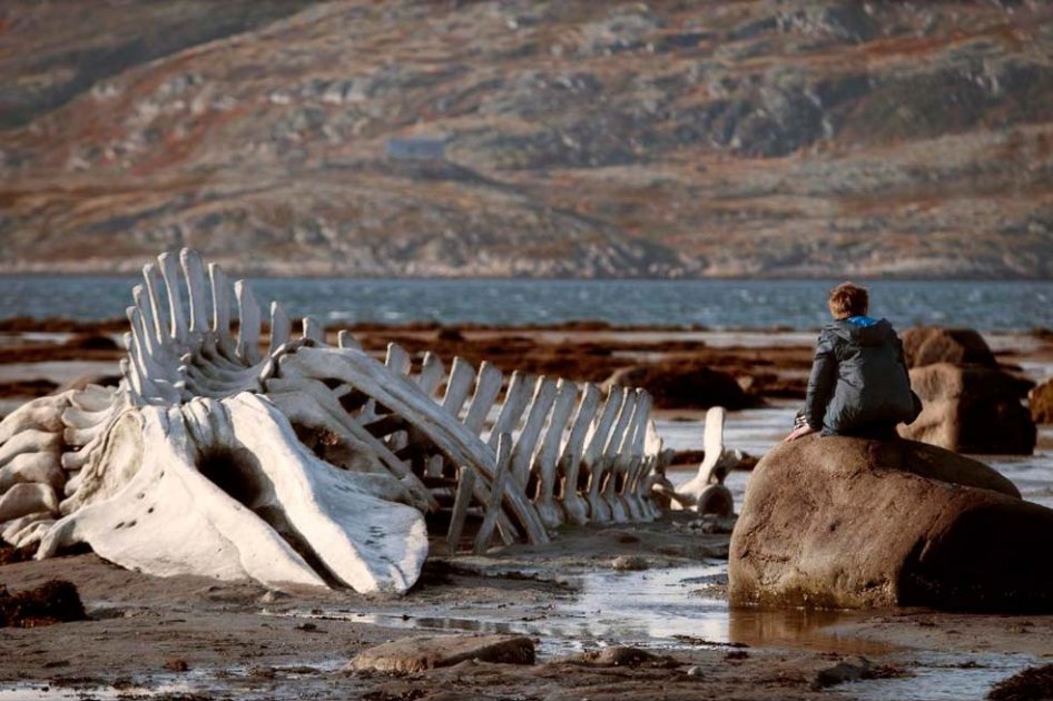 «Leviatán», el Óscar que incomoda a Rusia