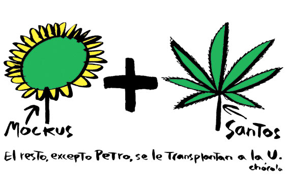 Transplantan