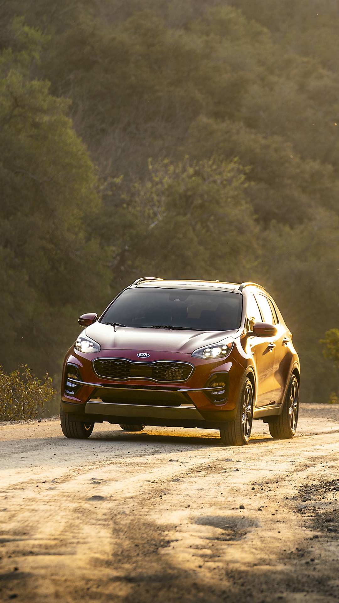 7) En el séptimo escalón de las SUV más vendidas esta la KIA Sportage con 187 unidades.
